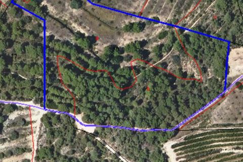Finca a Mora D'ebre, Tarragona, Mora D'ebre - € 17.500 | Ref: L1008M - foto 5